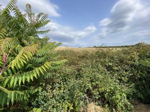 Open Views- click for photo gallery